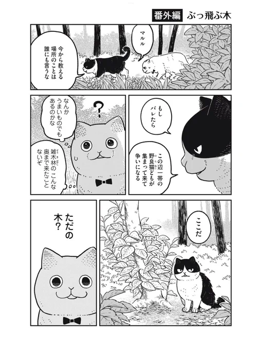 【創作】猫がぶっ飛ぶ木
#ツレ猫マルルとハチ #マルルとハチ 