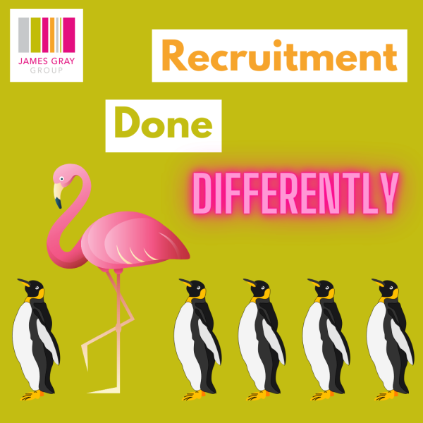 JamesGrayGroup's tweet photo. Get in touch with our friendly and knowledgeable team to discuss your requirements - getus@jamesgrayrecruitment.com

#constructionrecruitment https://t.co/SPBQ3BqZeI