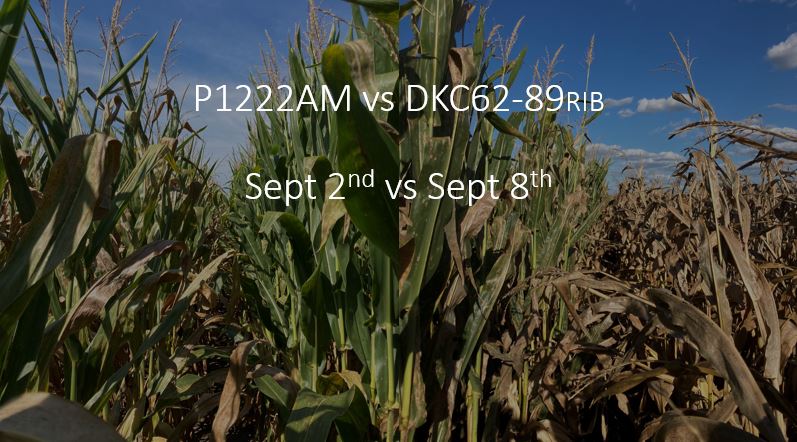 Mike Eiberger tweet media