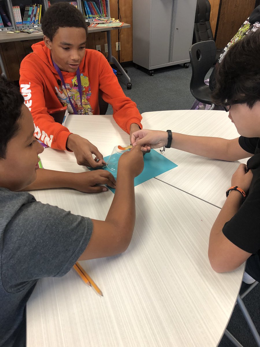 MsAvilaGloria's tweet photo. Always fun doing a little community building 🙃
#savefred #CookMS #communitybuilding #read180 #7thand8th #loveit https://t.co/wokfzDNPCr