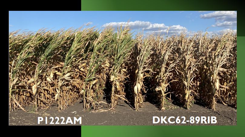 Mike Eiberger tweet media