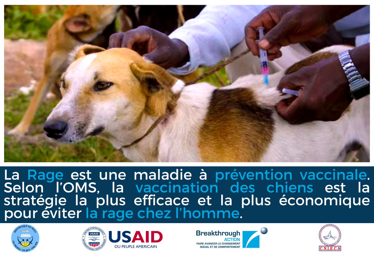 cniecs's tweet photo. La #rage est une maladie à prévention #vaccinale.  Selon l’#Organisation Mondiale de la #Santé, la #vaccination des #chiens est la stratégie la plus efficace et la plus économique pour éviter la #rage chez l’#homme. 
#Zoonoses #Rage #Virus #ZoonosesPrioritairesMali https://t.co/M1xgEek3sC