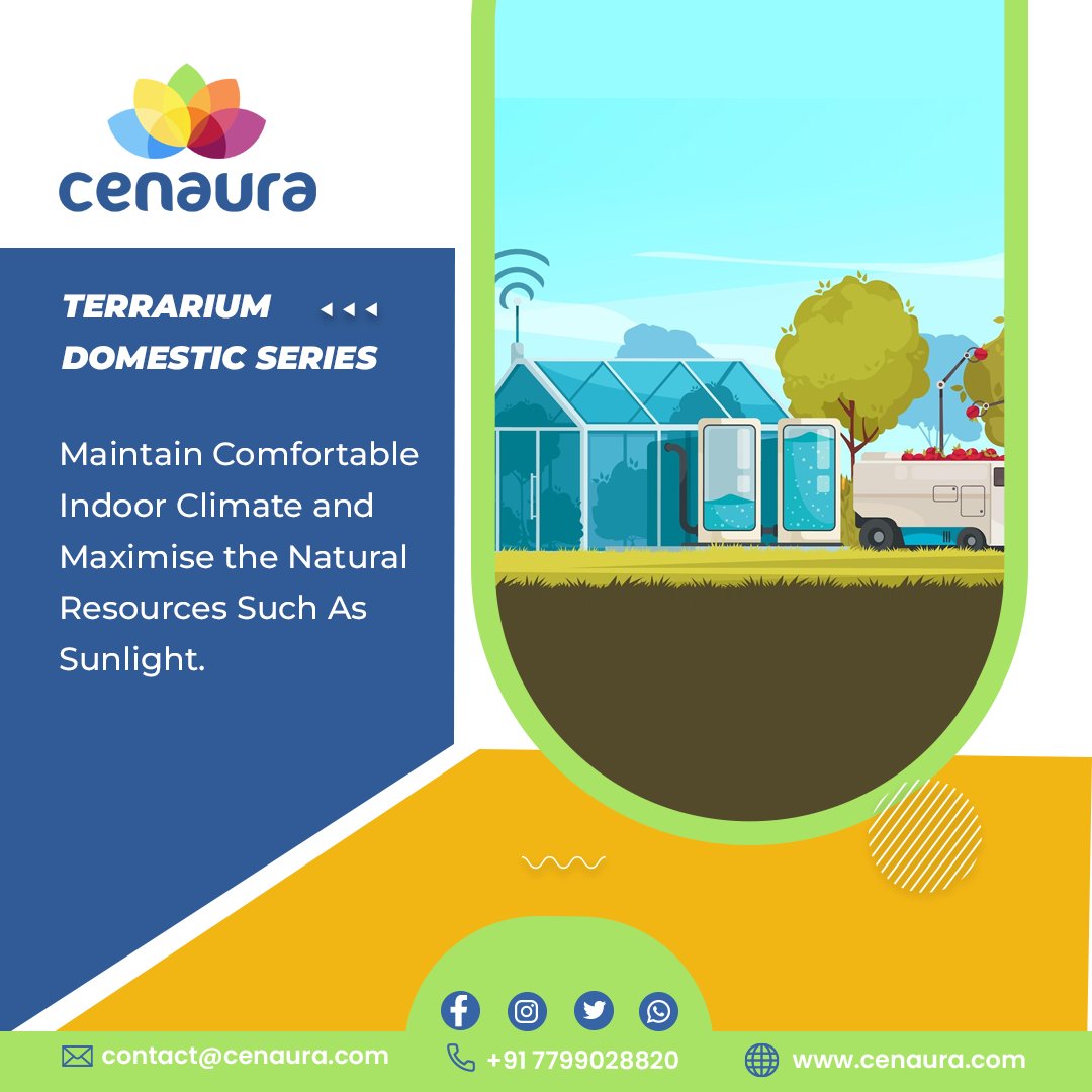cenauratech's tweet photo. #terrariums #terrarium #plants #terrariumdesign #terrariumlove #nature #moss #terrariumdreams #terrariumsofinstagram #plantsofinstagram #terrariumplants #vivarium #indoorplants #terrariumimaginarium #succulents #mossterrarium #plantsmakepeoplehappy #homedecor #terrariumworkshop https://t.co/1Qm9NF633w