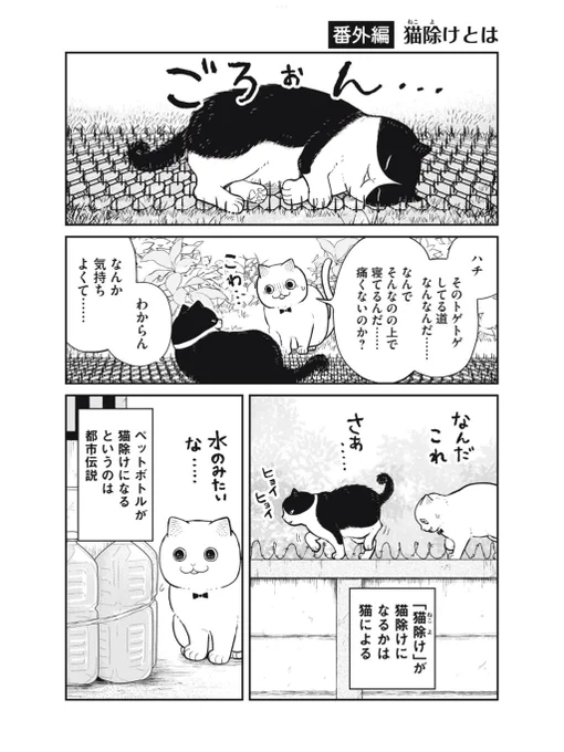 【創作】猫除けとは
#ツレ猫マルルとハチ #マルルとハチ 