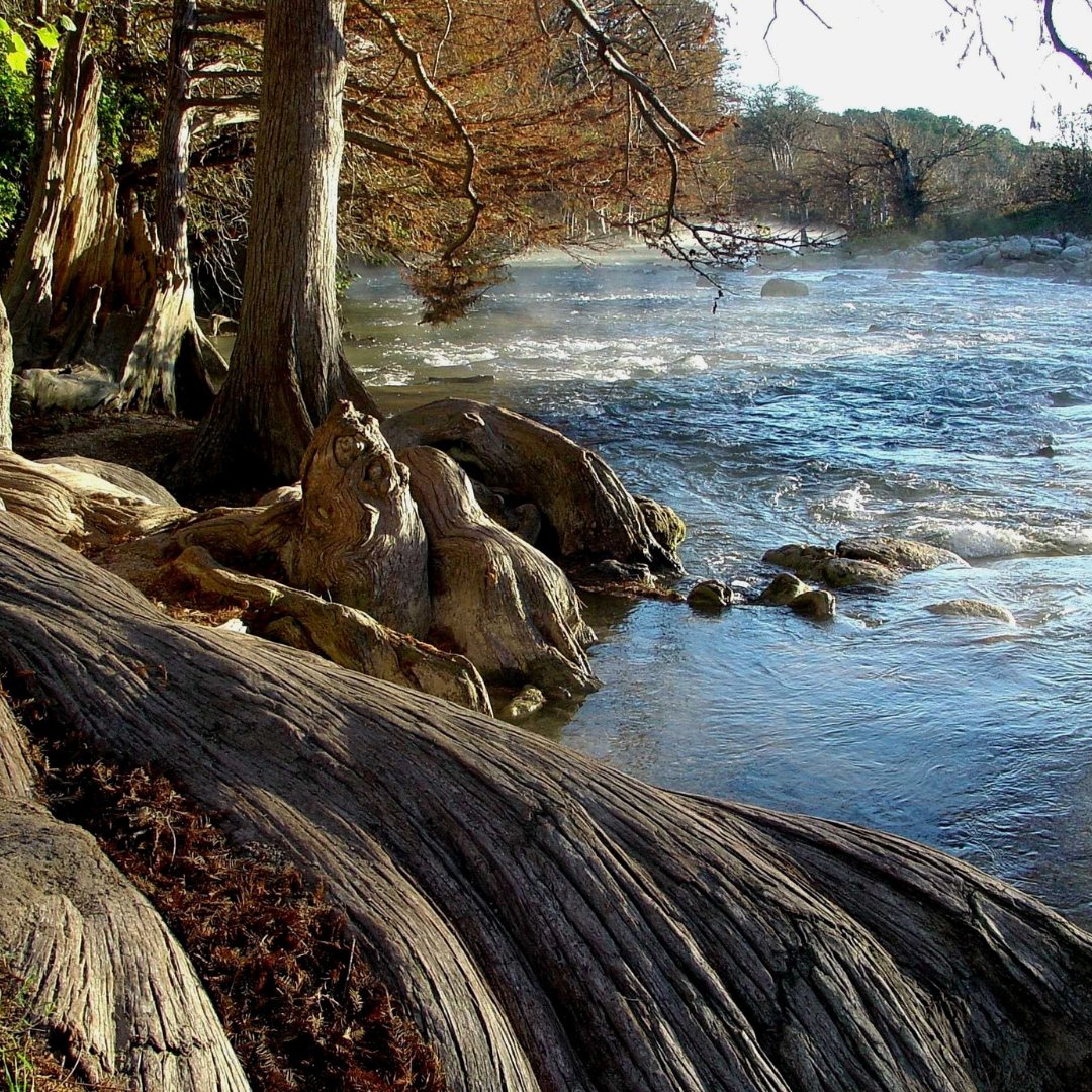 TexanbyNature's tweet photo. #ConservationWrangler @TXForestService is a statewide collaborative working to enhance &amp; conserve forested watersheds across the state. For 18 months, we are providing tailored support to accelerate their impact! Learn more: https://t.co/3Ltg3YLgJ2 https://t.co/T3lhq5mtfv