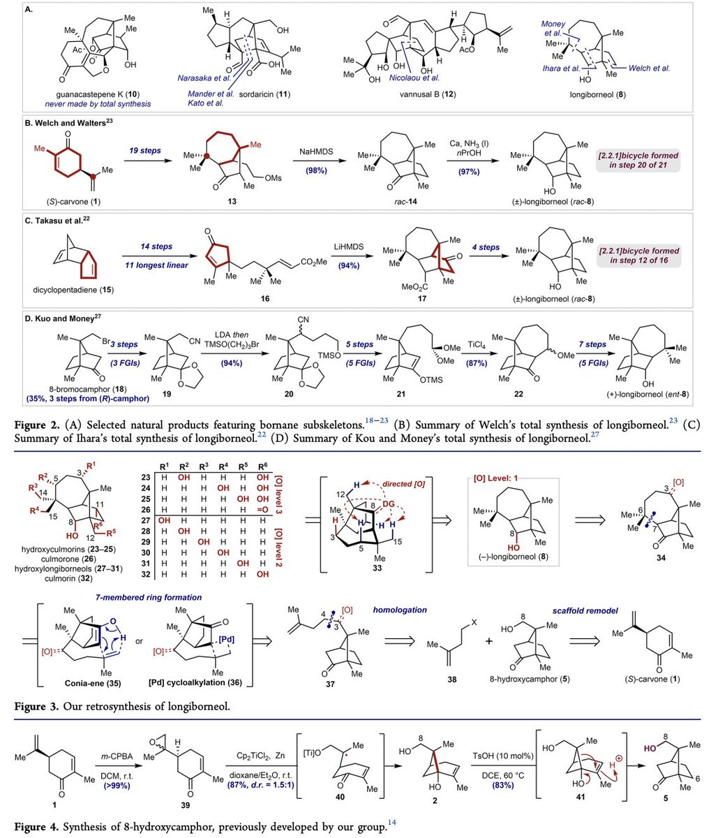 TotalSynthesis's tweet photo. Strategy Evolution in a Skeletal Remodeling and C–H Functionalization-Based #Synthesis of the Longiborneol Sesquiterpenoids by Robert F. Lusi @noScandineHere, Goh Sennari, and Richmond Sarpong @SarpongGroup at @UCB_Chemistry in @J_A_C_S https://t.co/CM3uEvX5iS https://t.co/oMH5b6sWjj