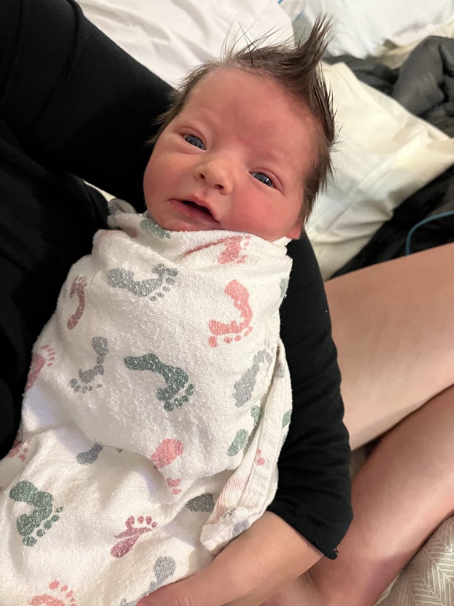 Gayle Doud 🐊 tweet media