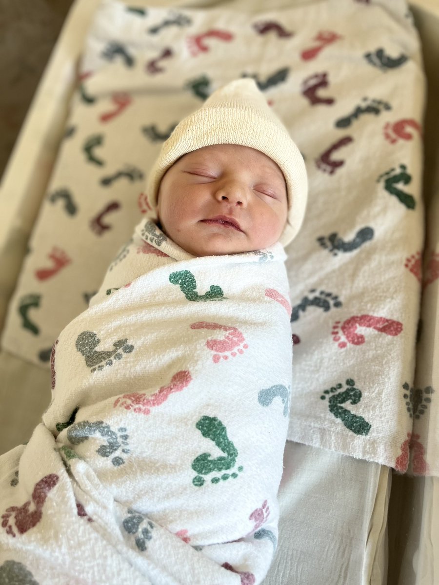 Gayle Doud 🐊 tweet media