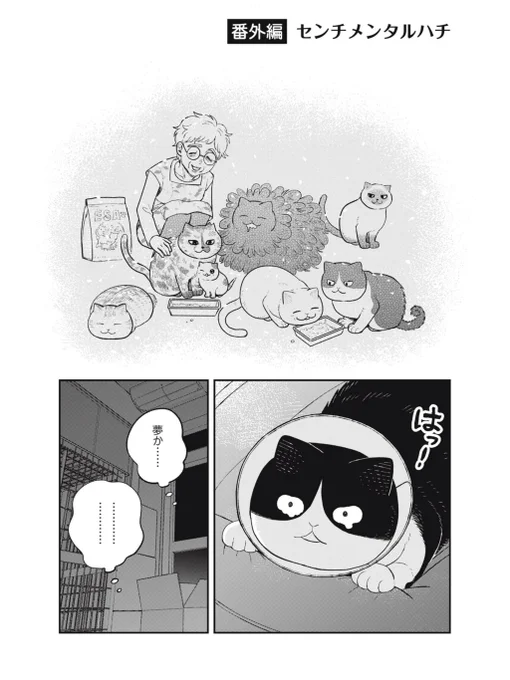 【創作】センチメンタルハチ
#ツレ猫マルルとハチ #マルルとハチ 
