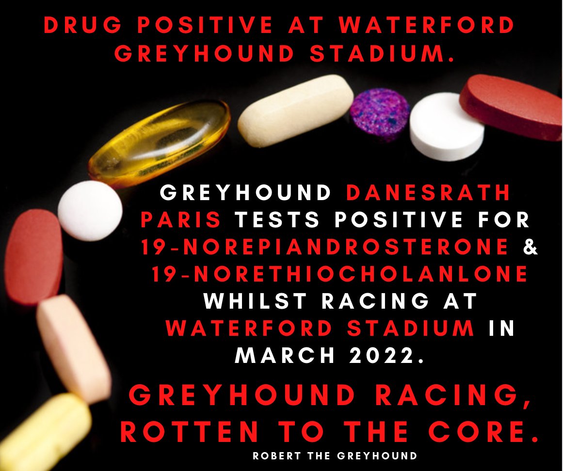 GreyhoundRobert's tweet photo. Greyhound Danesrath Paris tests positive for 19-Norepiadrosterone and 19-Norethiocholanlone whilst racing at Waterford Greyhound Stadium in March of this year. Risking Greyhound Health at every corner. #DopedDogs #YouBetTheyDie #Greyhound #GreyhoundRacing https://t.co/jshRyXfPml