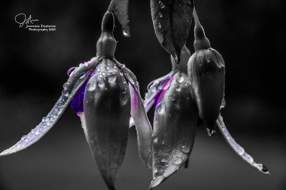 <a href="/jjays_captions/">James</a> With just a splash of purple.