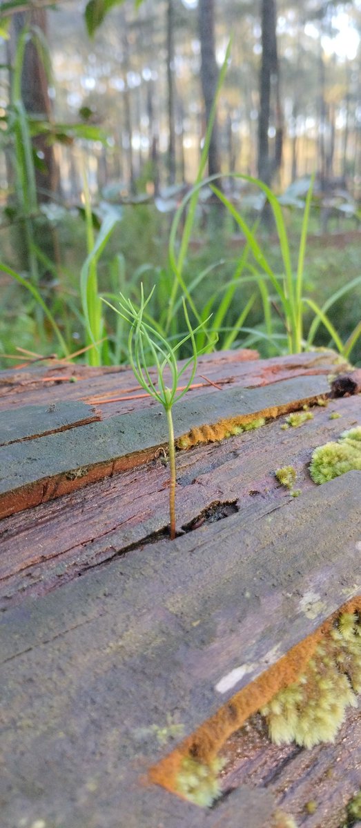ku kira berubah, ternyata masih sama,.