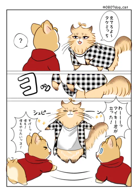 ⚠️擬獣化
ゆっる〜い マイ武 🐱🐶
( *¯ ꒳¯*)ドヤッ 