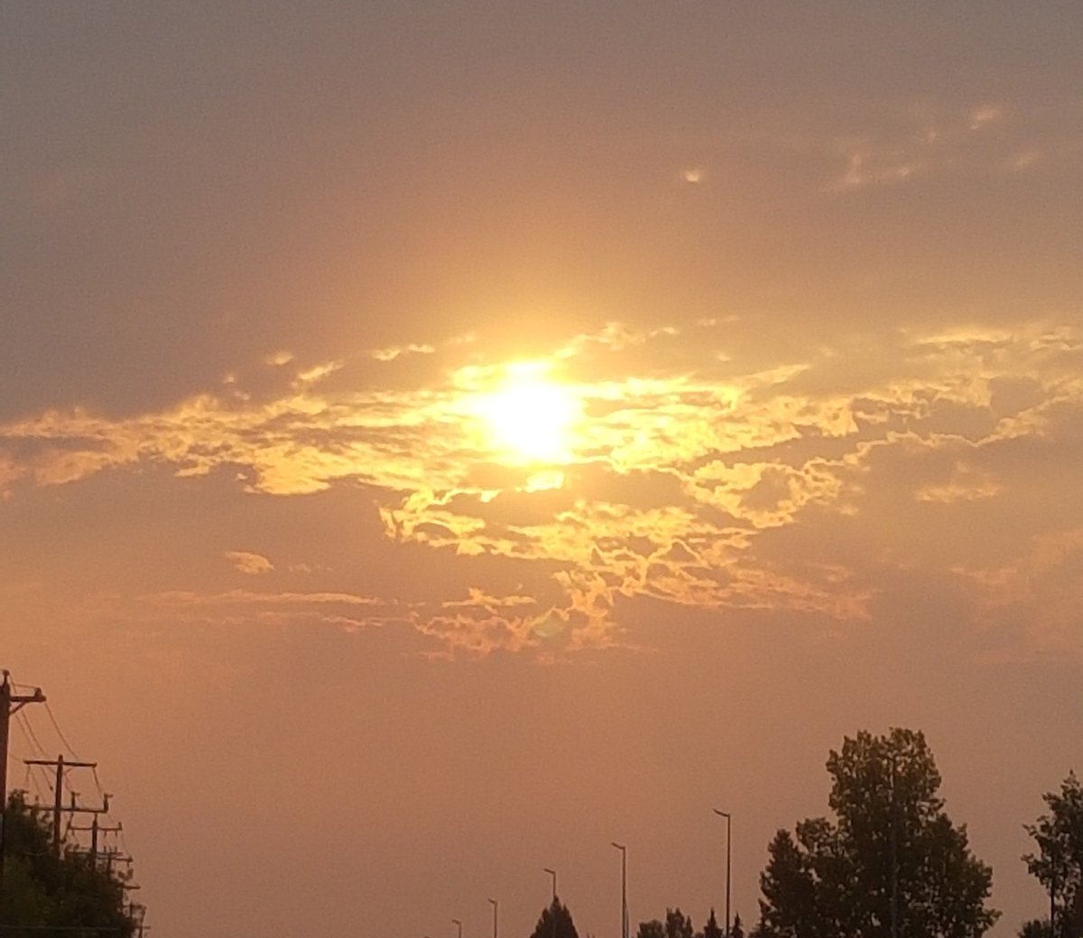 clockworkbee303's tweet image. I can't see, my eyes are dying /hj