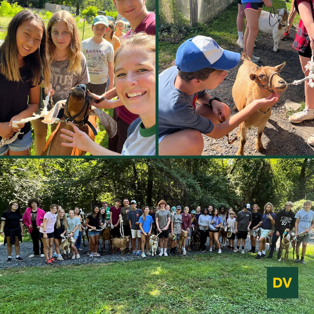 DVFSchool tweet media