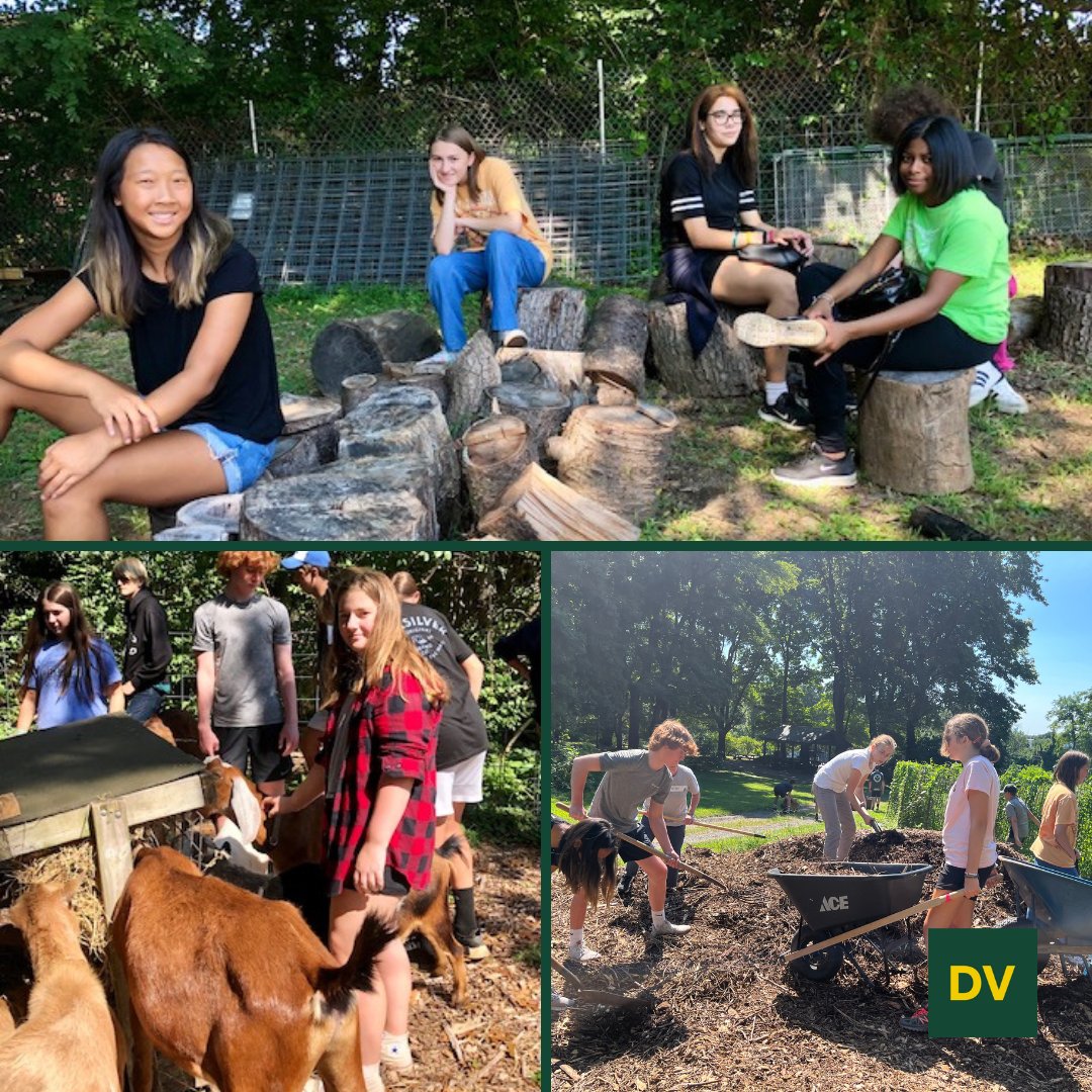 DVFSchool tweet media