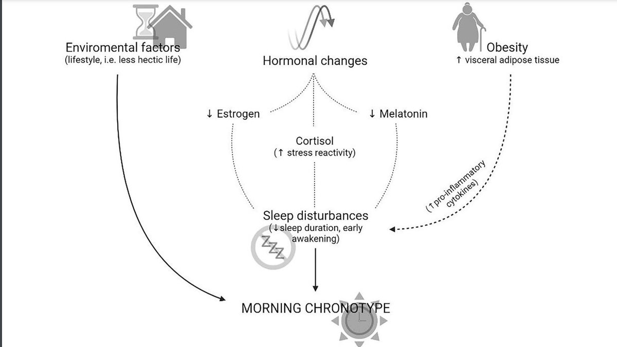 doctorneyro's tweet photo. The #management of #postmenopausal #women, especially with #obesity, careful assessment of #sleepdisturbances, chronotype nd subsequent development of th mst appropriate #treatment, including #nutritionalmanagement, should be part of the #treatmentroutine
https://t.co/FmZINcG7Yv https://t.co/HWQLDLvqWr