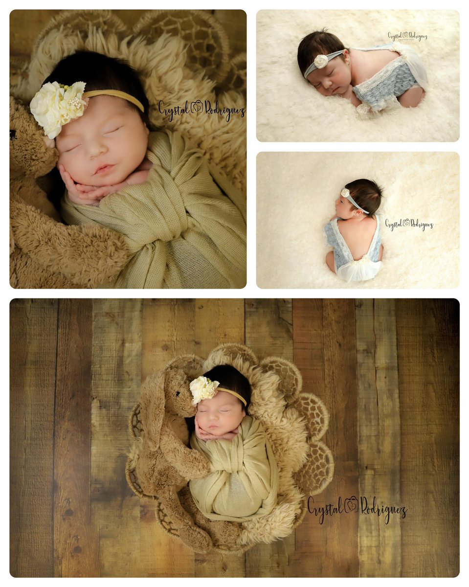 Crystal Rodriguez Photography (@crystalrphotog) on Twitter photo 