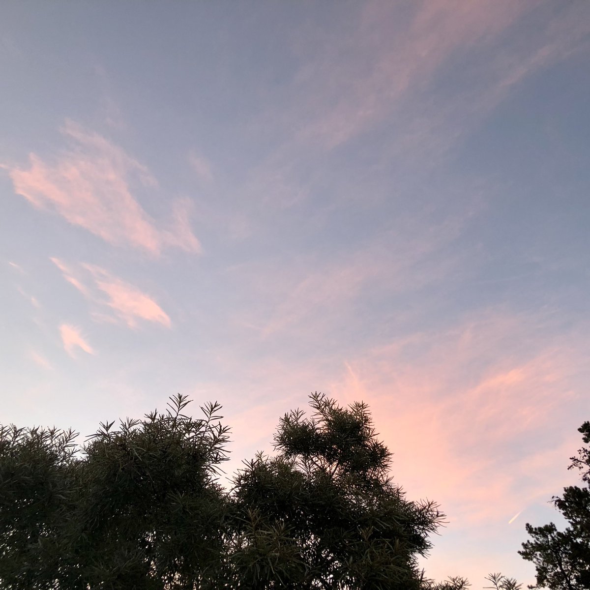 This morning requires a lot of coffee and <a href="/ledzeppelin/">Led Zeppelin</a> ‘Ramble On’ at unacceptable volumes.