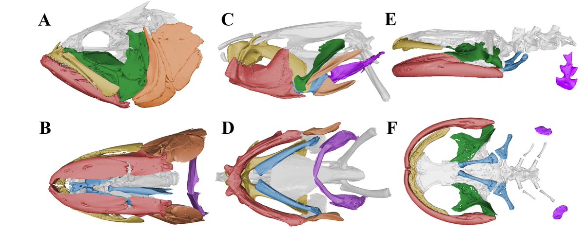 Dr. Samantha Gartner tweet media