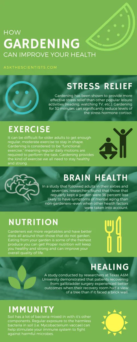 MicheleMarisca3's tweet photo. Exercising and eating right are said to go hand-in-hand, but when you work in a garden, they actually do. Gardening is one way to maintain your health and enjoy time outside. https://t.co/lw1G9gmmUo #Healthy #Gardening https://t.co/ZrHRSezOT7
