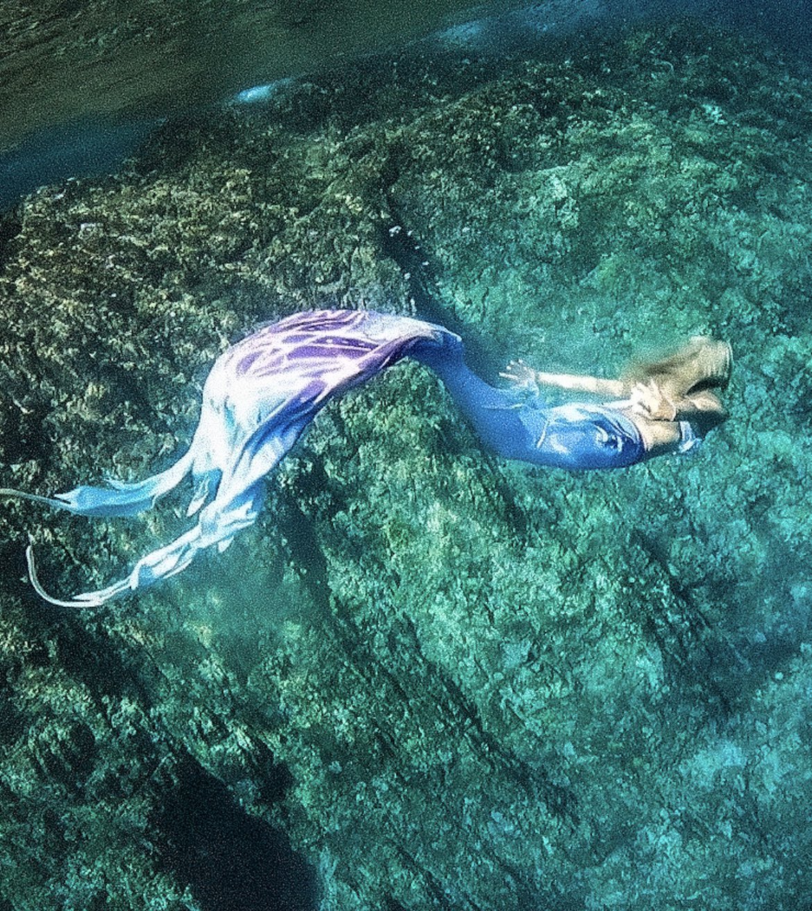 マーメイドの先生 Misa 東京11 26 27 プールスイム会開催 Misa Mermaid Twitter