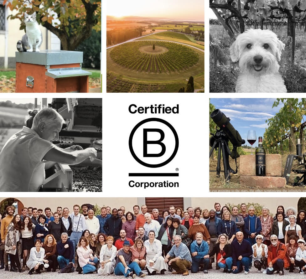 We are proud to announce that Avignonesi has been awarded the BCorp certification. Bcorp is today's most rigorous and coveted Social-Environmental Certification bcorporation.net/en-us/find-a-b…… . . . #avignonesi #BCorp #regenerativewinery #socialresponsibility #transparency