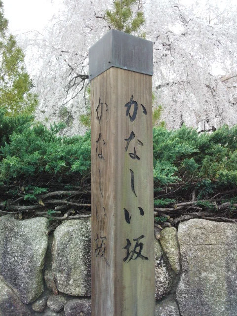 @momocolory #府中
#東郷寺
#羅生門山門
道標も悲しげです。 