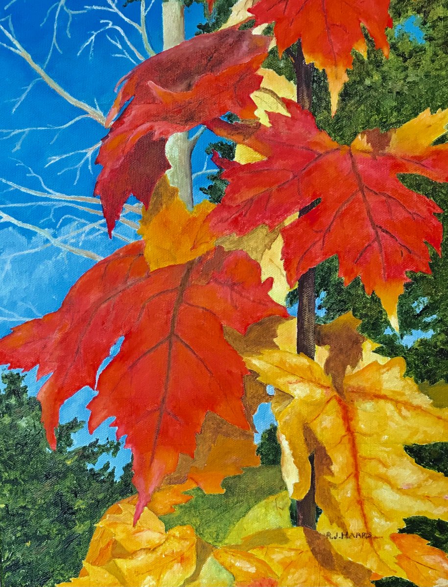 bobharrisart's tweet photo. Dad blank art note cards are in the works. Be the first to know when they will be ready for sale world wide. landscapes and wildlife. https://t.co/WO7cTdCNMc #autumnleaves #goleafsgo #wellseasoned #collectionone #oilpainting #blanknotecards #bobharrisart  #dorionontariocanada https://t.co/TarvVl9Zc5