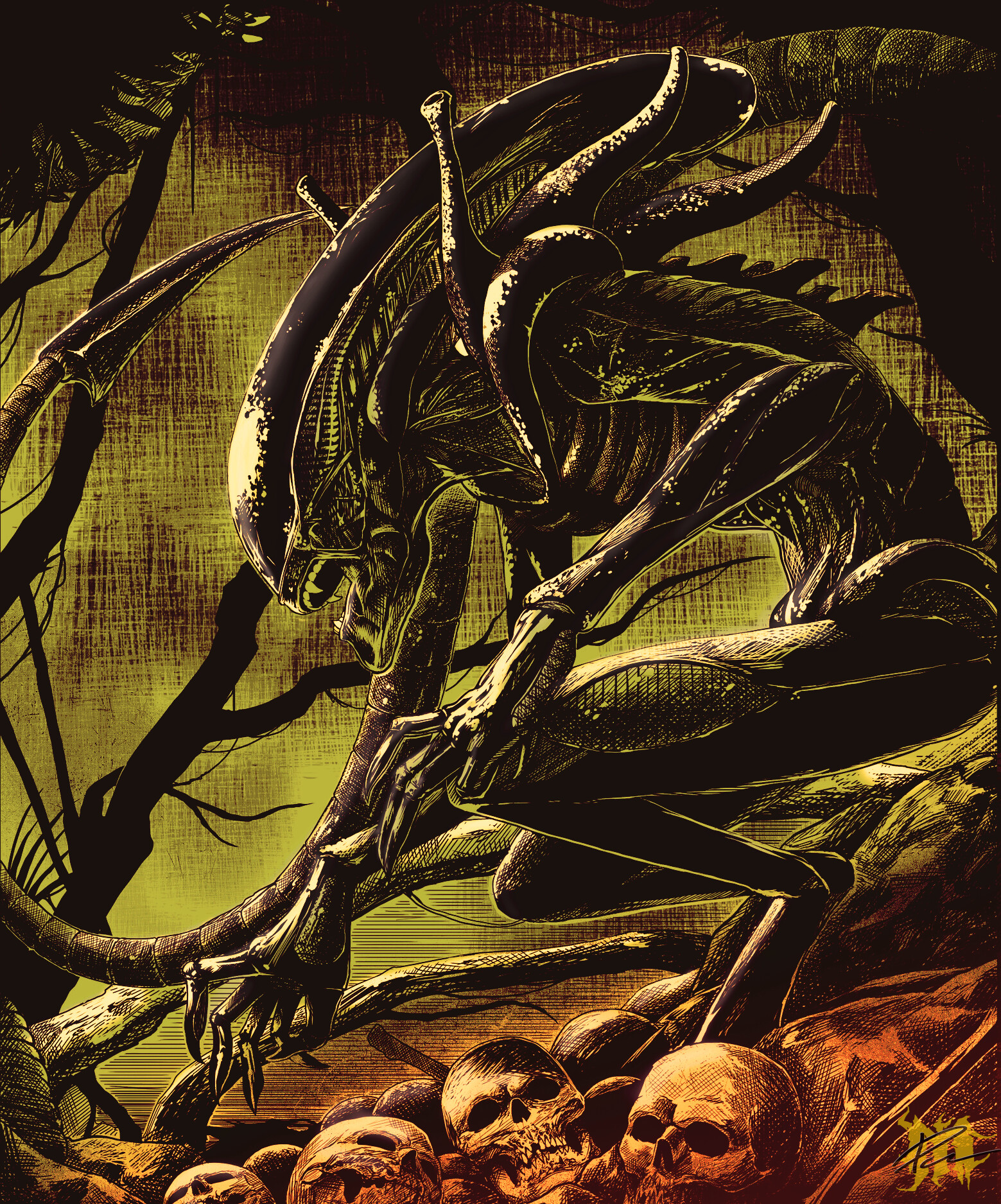 Alien predador  Xenomorph, Alien artwork, Predator alien