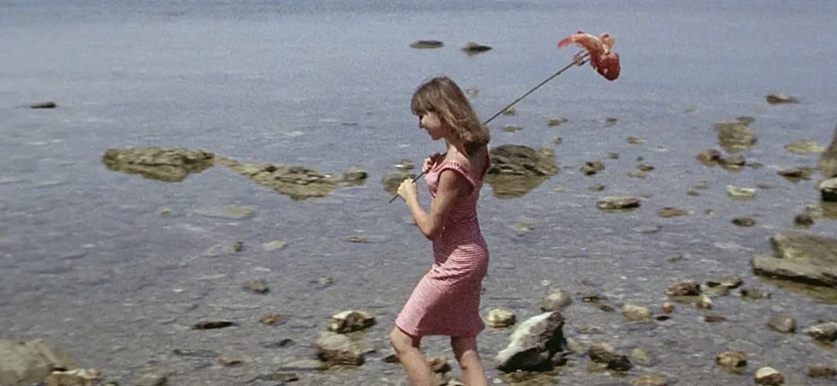 Albert Galera (@albertgalera) on Twitter photo 