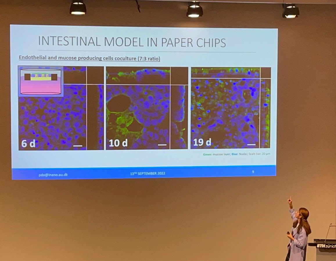_pauladedios's tweet image. Very excited of sharing the research I do at Aarhus University "Floating paper chips for tissue models" at the @BICZurich in Zurich #BIC2022