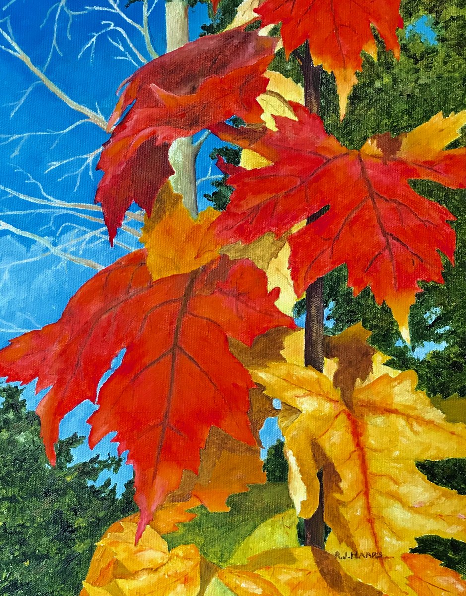ABergieCreation's tweet photo. Dad blank art note cards are in the works. Be the first to know when they will be ready for sale world wide. landscapes and wildlife. https://t.co/99sZ752O1R 
https://t.co/3P8gKaeQ8I 
#autumnleaves #goleafsgo #oilpainting #blanknotecards #bobharrisart  #dorionontariocanada https://t.co/2Rpt7CRve0