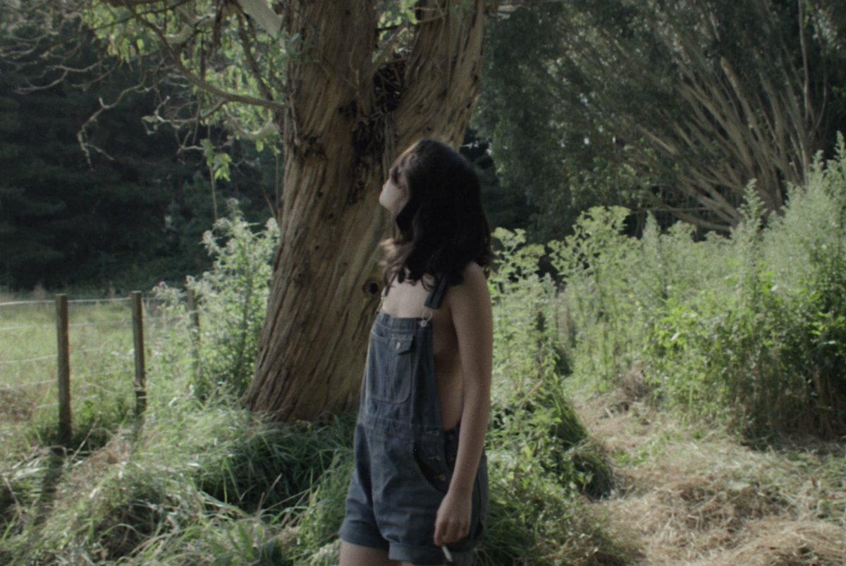 on Twitter "she’s coming back!"