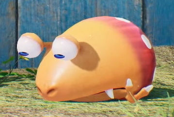 Creature of the Day! tweet media