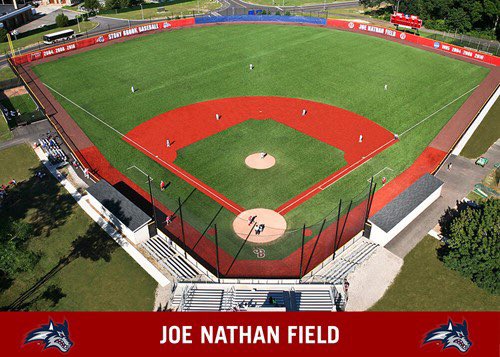 Welcome to the Lightning <a href="/LanoueMax/">Max Lanoue 🇨🇦</a> (<a href="/StonyBrookBASE/">Stony Brook Baseball</a>)! Max is a physical RHP from Ontario, Canada! #boltup