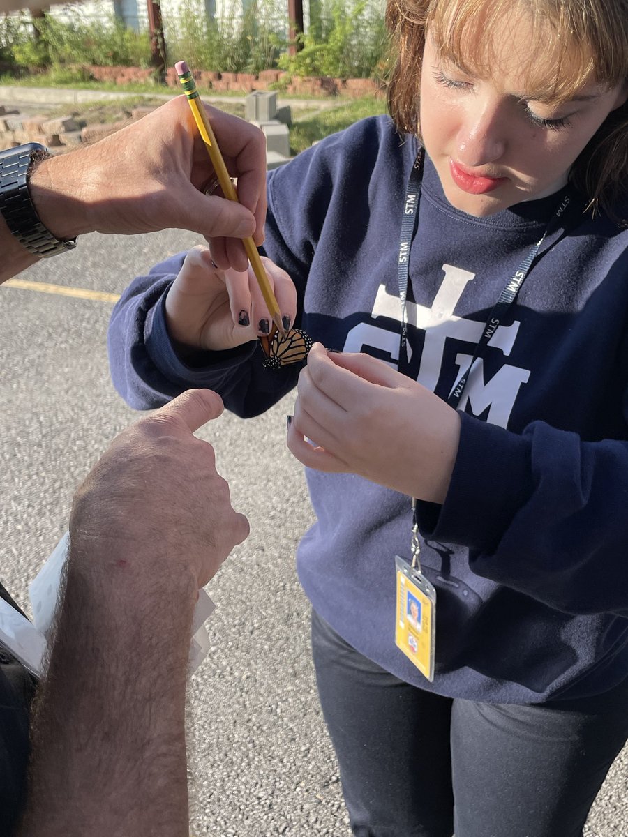 STM Env Science tweet media