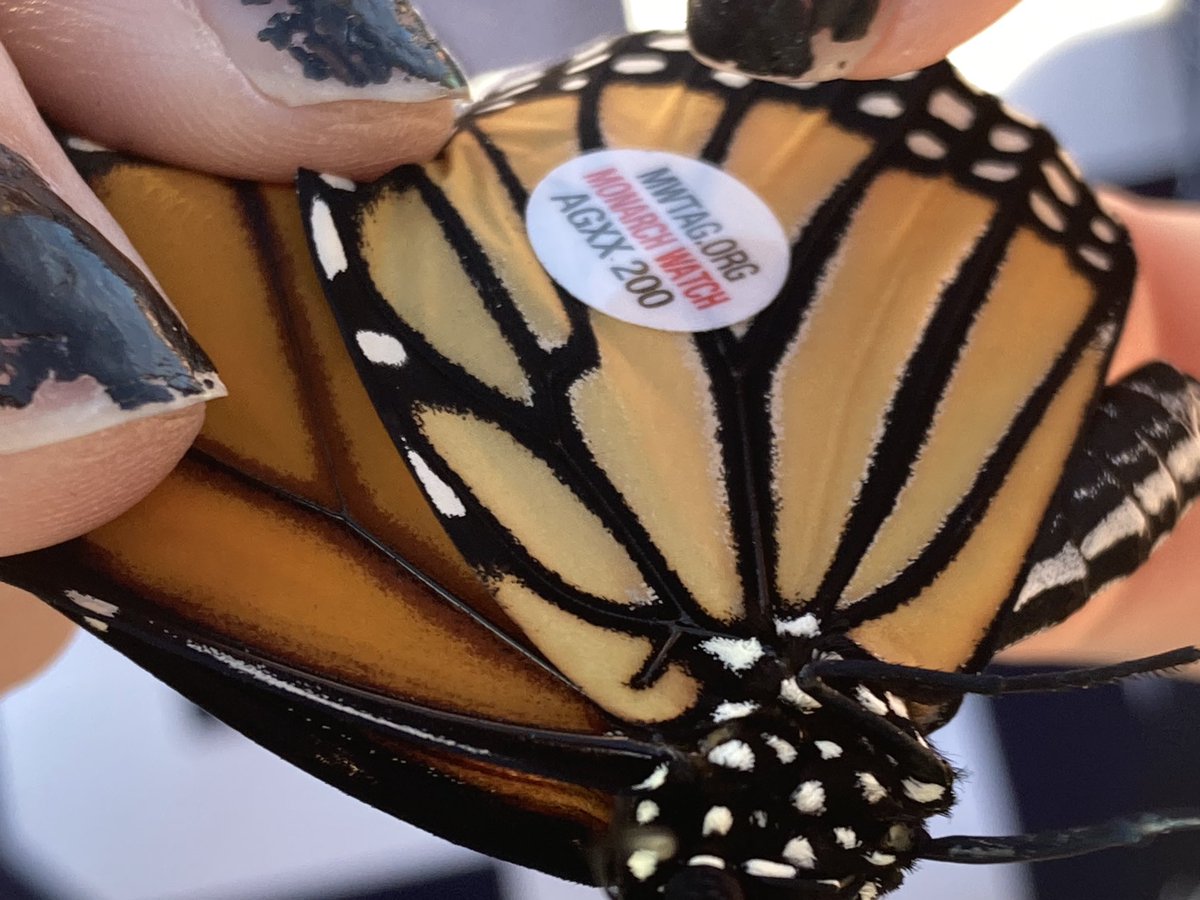 STM Env Science tweet media