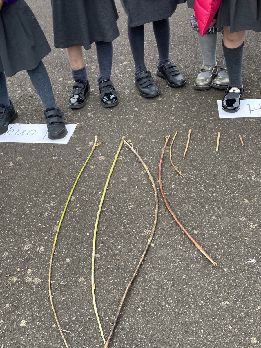 “We’re going on a Stick Hunt. We’re going to catch a long one. And a short one!” As part of our Stick Man mini topic, P1a @StMonicaMilton investigated Length by gathering sticks, sorting according to Long or Short then ordering by length. ⭐️