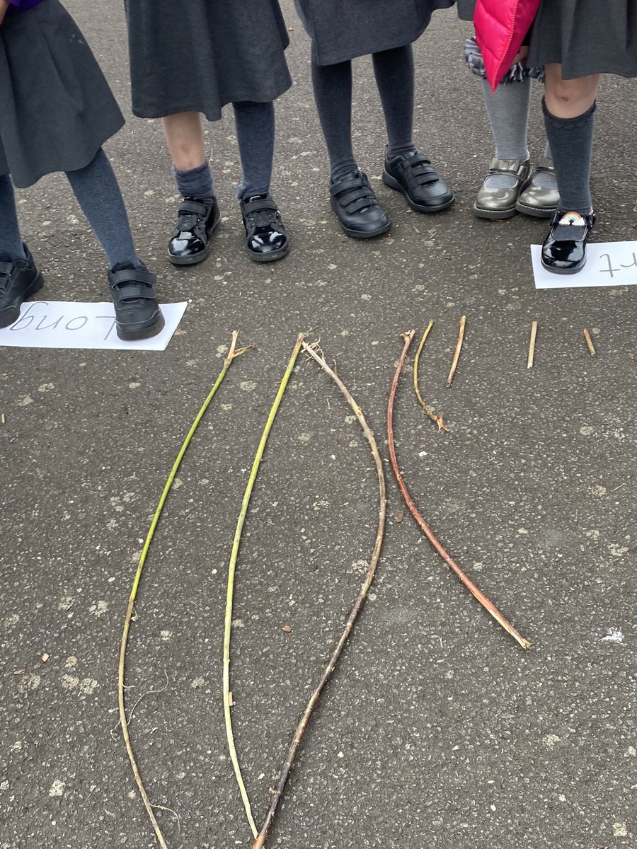 Mrs_Greig's tweet photo. “We’re going on a Stick Hunt. We’re going to catch a long one. And a short one!” 
As part of our Stick Man mini topic, P1a @StMonicaMilton investigated Length by gathering sticks, sorting according to Long or Short then ordering by length. ⭐️ https://t.co/efjeRD9eKd
