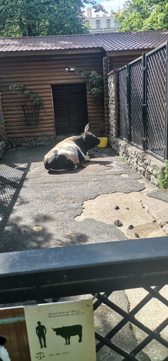 Смотрите какая милая