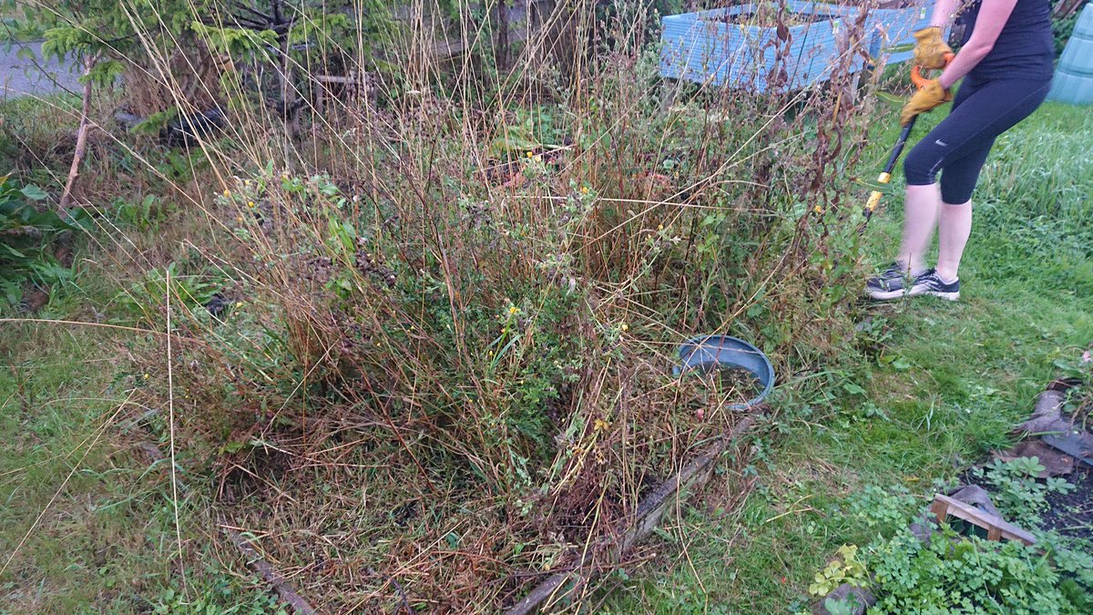 GoodGym Cardiff & The Vale tweet media