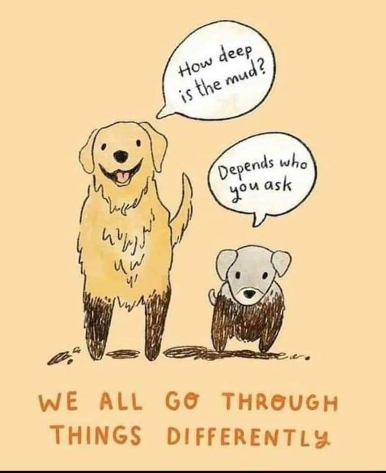 This is important! 🙌
📷 Unknown