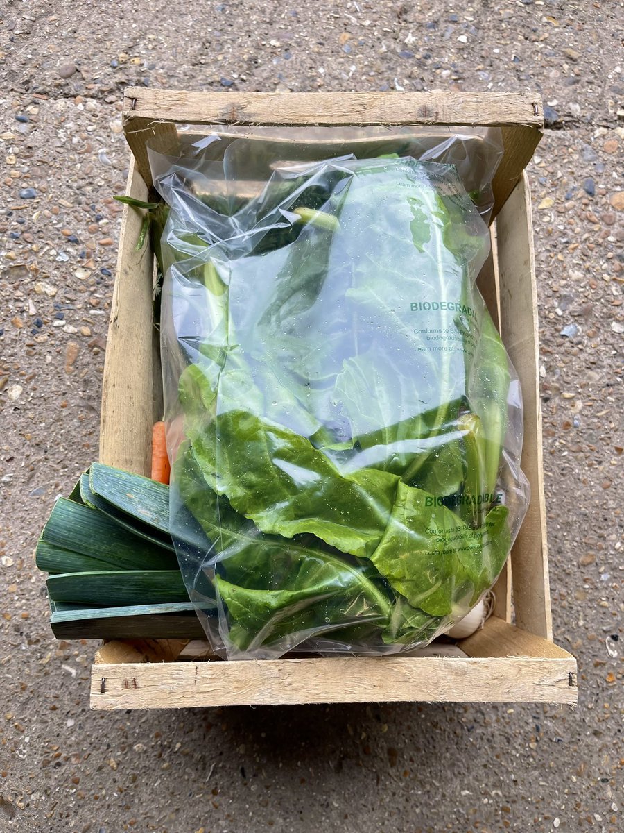 Vegetable boxes that were lovingly made for our customers today! Introducing our Mediterranean Box and our Small Veg Box. Go to greenergreens.com to see our range of fruit + veg boxes!

#organic #UKgrown #local #localbusiness #smallbusiness #surrey #sussex #vegetables
