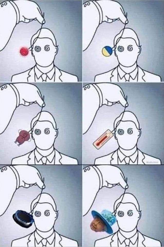 Morgana Catalana (@morganacatalana) on Twitter photo 