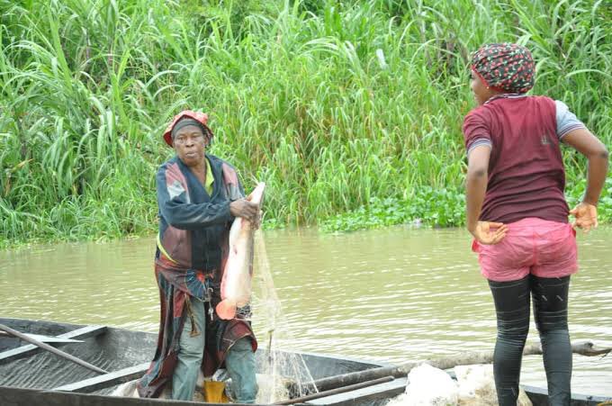 nigerdeltafest's tweet photo. The Amassoma Seigbein (Throw away evil) which originated from the burial rites of late King Oboro, founder of Amassoma kingdom is a multipurpose festival serving both as means for fishing and feasting expenditures. It’s purpose was to entertain sympathizers from far and near. https://t.co/DIIJiRh1w9