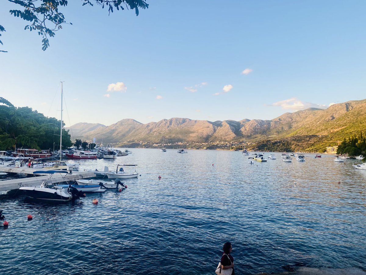 Dr Dale Whelehan tweet media