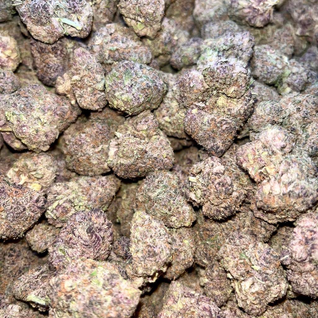 EazyCanna's tweet photo. We are high as f! We have a new batch of #TropicanaCherries #Indica #Hybrid this bud is amazingly strong! Enjoy!
#SanDiego #Delivery #Shipping #LosAngeles #NewStrain #OrderthroughDM #Cannabis https://t.co/Kke4P8lcTX