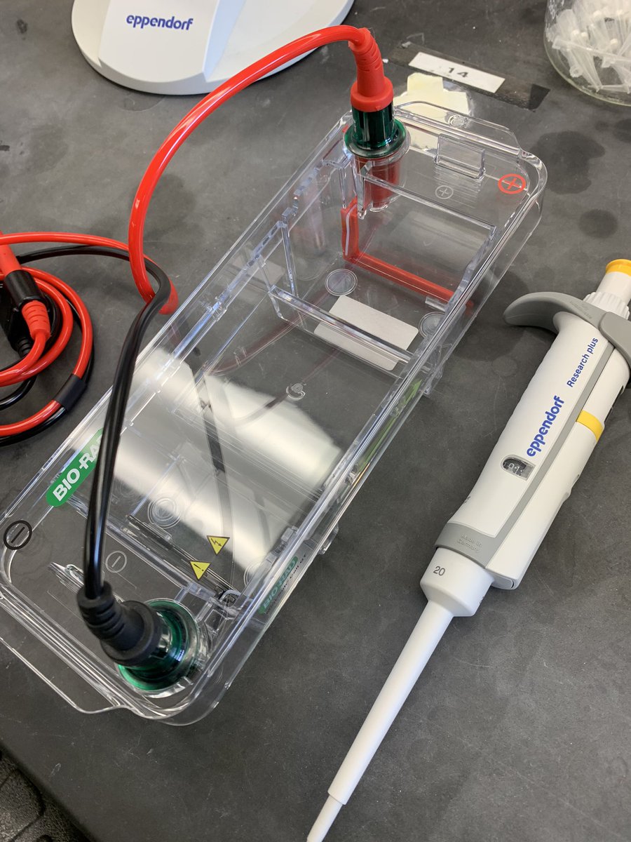 Dr. Anna Forsman tweet media