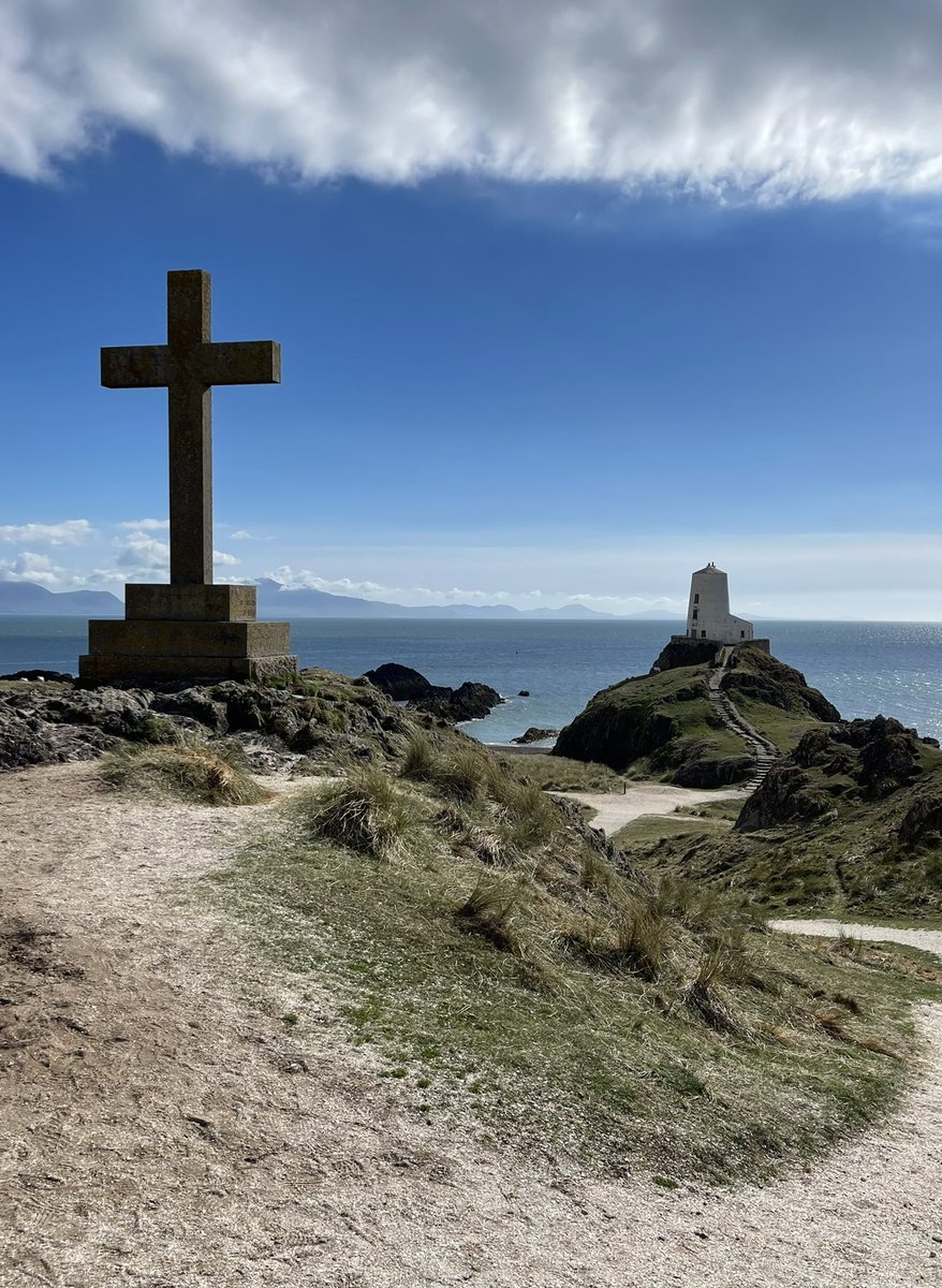 Shoot from the Trip tweet media